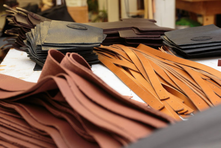 Pampas leather company case study 02 picture